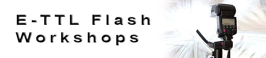 Flash Workshops